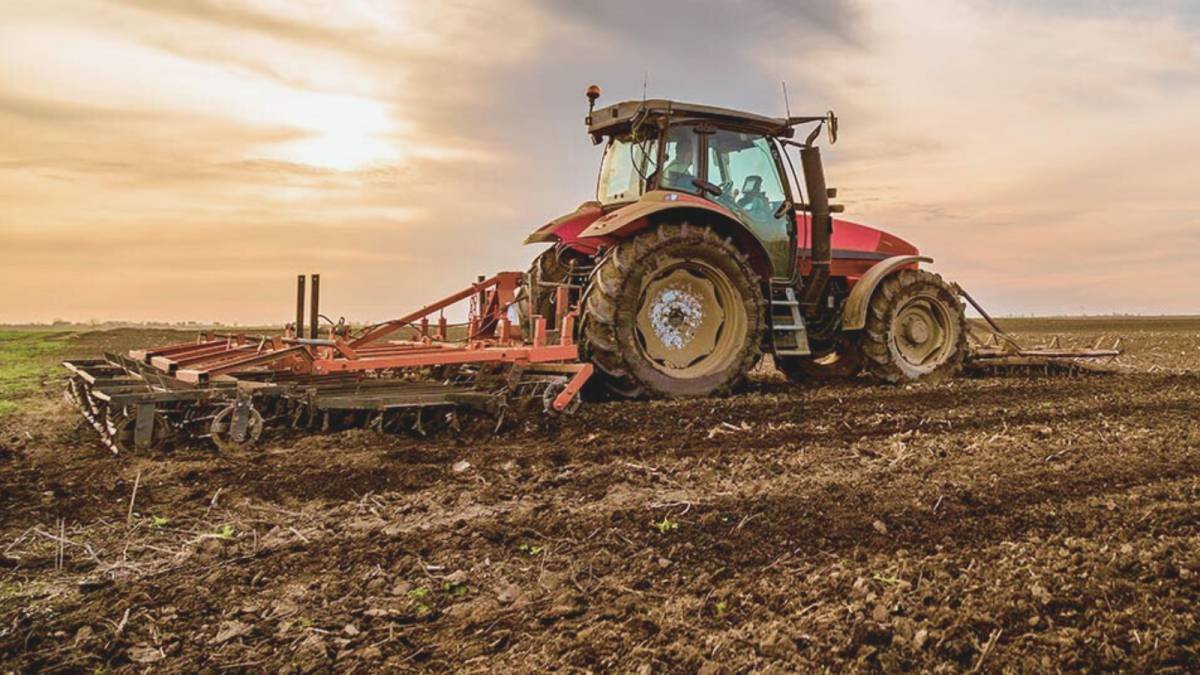 Water Crises, Vulnerable Economy: An alternative to Cholistan Corporate Farming