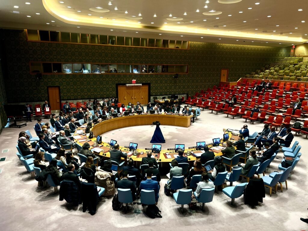 Congo, Rwanda Must Demonstrate Political Will for Peace: Pakistan