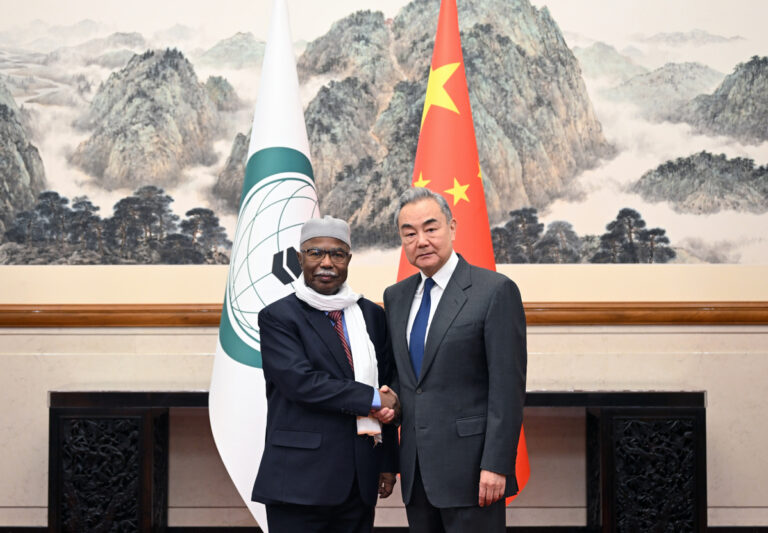 Muslim Union Lurking Chaos in Middle East and China's Outreach to the Muslim World
