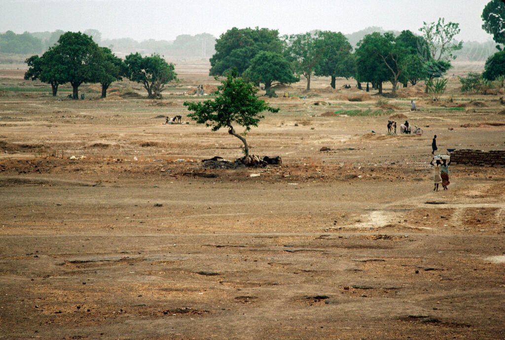 Droughts & Displacement: How Climate Stress Fuels Conflict and Human Insecurity