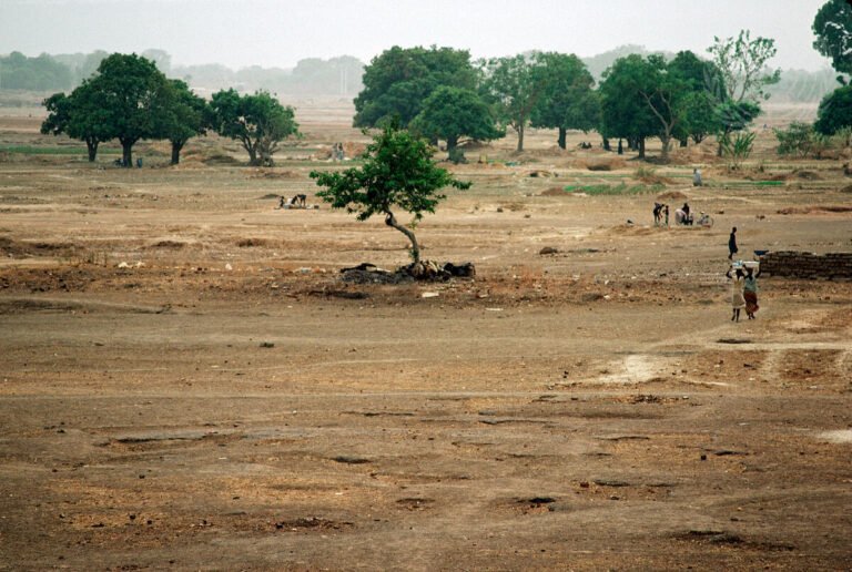 Droughts & Displacement: How Climate Stress Fuels Conflict and Human Insecurity