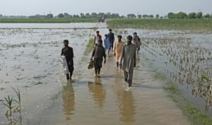 3.3M Jobs Disrupted By 2025 Floods Across Pakistan: ILO