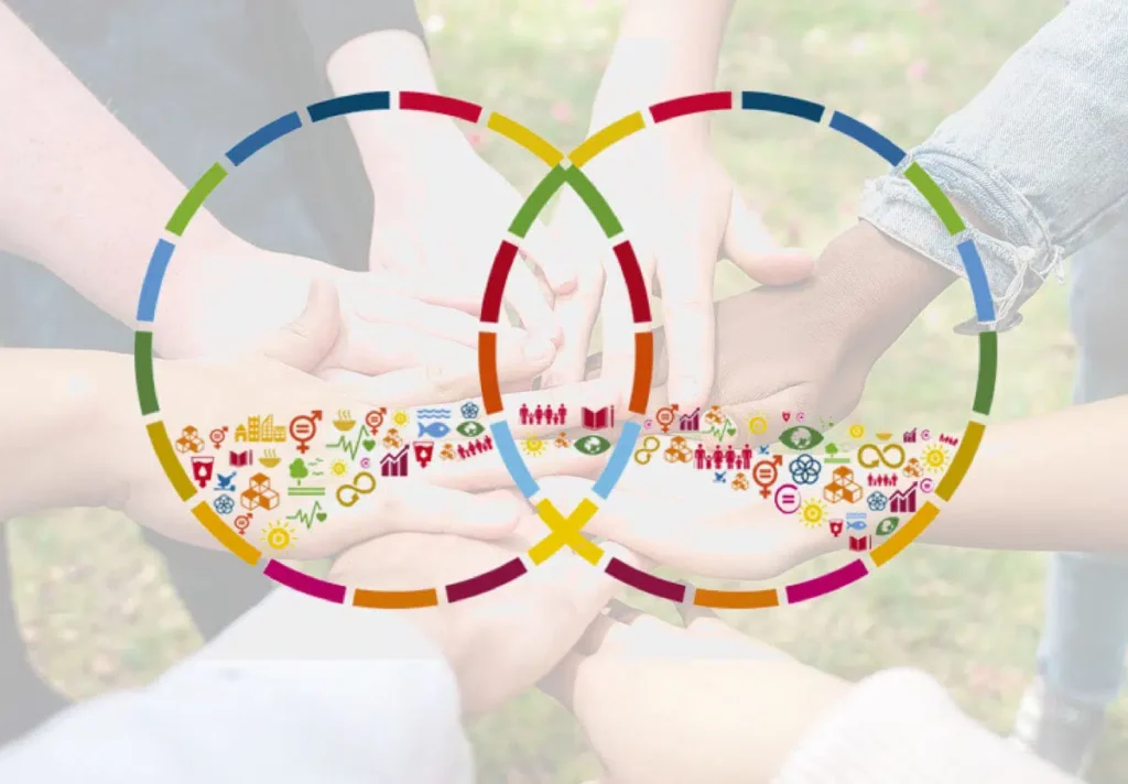 Why Does South-South Cooperation Matter? 