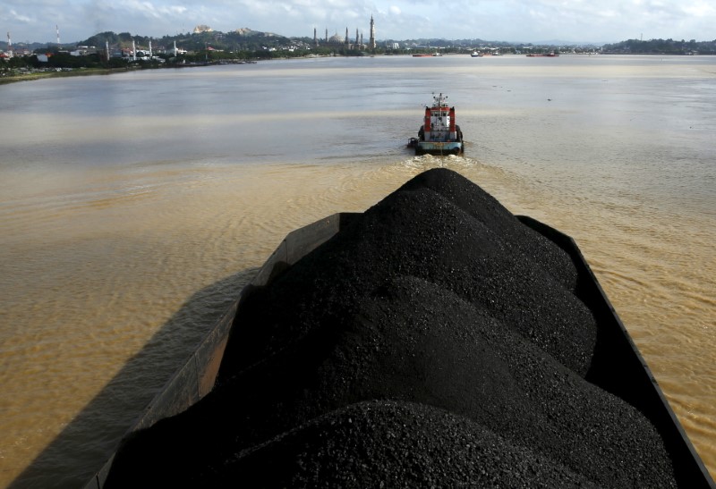 How Borneo’s Shrinking Rivers Are Squeezing the World Coal Market