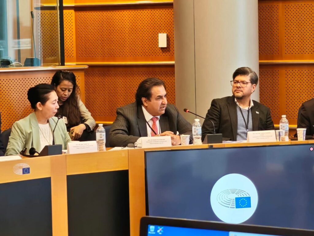 IPDS President Calls for Fairer, More Inclusive Governance at the European Parliament 1