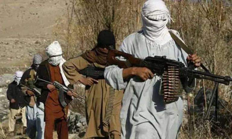 UN Warns TTP Can Become Extra-Regional Threat as Afghan Support Sustains