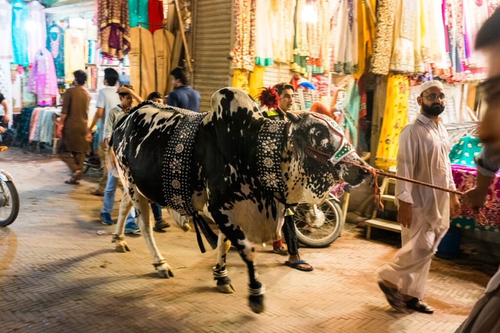 Bakra Eid Goes Viral: How Vloggers Are Cashing In on Qurbani Content