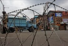 British Lawmakers Renew Calls for Action on Kashmir Freedom British, Kashmir, Pakistan, India, human rights