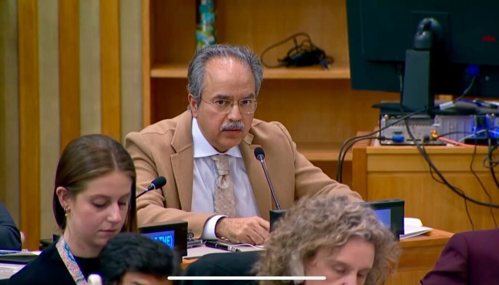 Security Council, Pakistan, Ukraine, Asim Iftikhar Ahmad, Europe