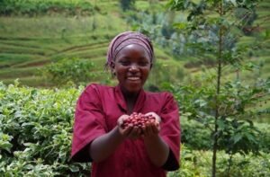 Rwanda’s Coffee Economy: Brewing Success on the World Stage