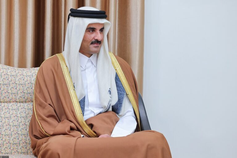 Qatar's Role in World Politics: Strategy, Mediation, and Influence