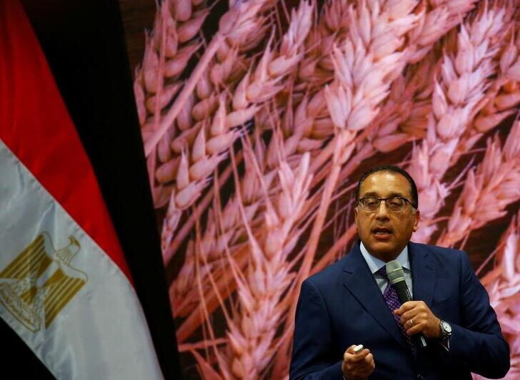 Egyptian Prime Minister Mostafa Madbouly speaks into a microphone in front of a backdrop of wheat stalks