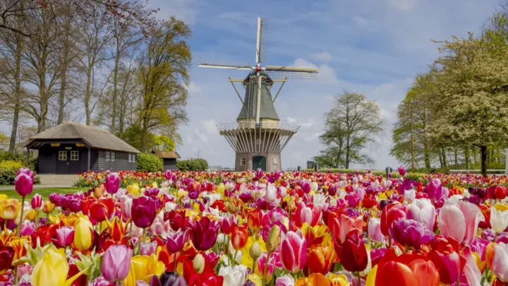 Across Cultures and Continents: How the World Celebrates Spring