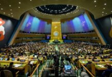 New UN Gaza Plan Sidesteps International Consensus: Russia Gaza, Russia, Donald Trump, Israeli, Palestinian