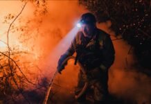 Europe Faced Record Breaking Wildfires in 2025: Report Europe Faced Record Breaking Wildfires in 2025: Report