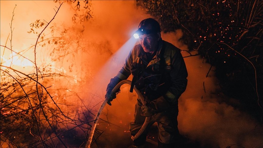 Europe Faced Record Breaking Wildfires in 2025: Report