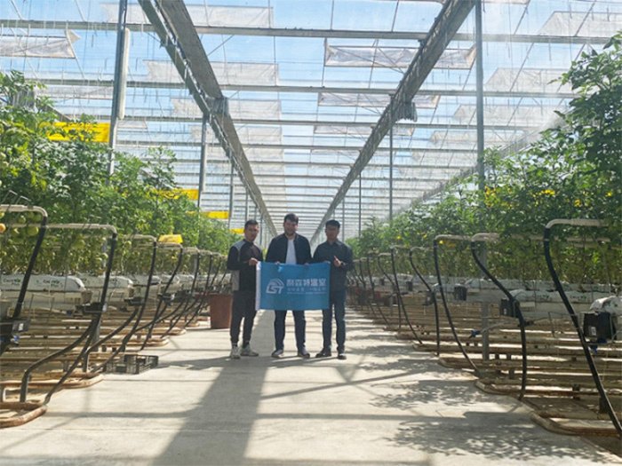 China's Greenhouse Technology Goes Global, Benefiting Farmers Worldwide