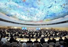 UN Human Rights Commission Terminates 300 Positions as Funds Fall Short UN Human Rights Commission Terminates 300 Positions as Funds Fall Short