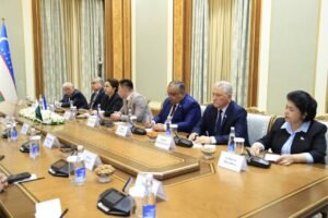 Senate Chairpersons of Uzbekistan, Pakistan Discuss Prospects of Bilateral Cooperation