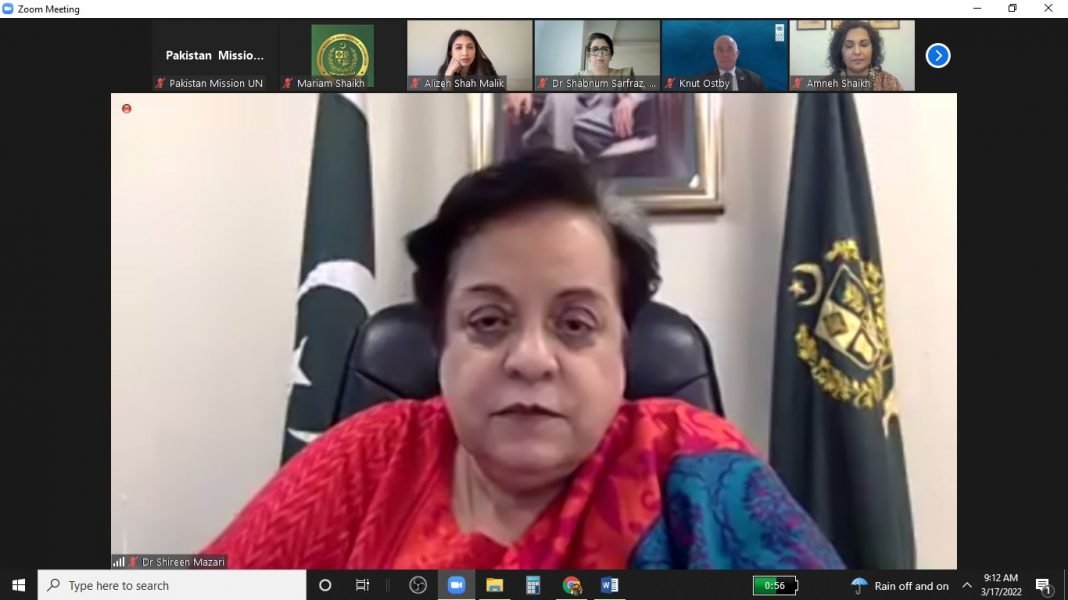 Shireen Mazari, Minister for Human Rights during the 66th CSW Session