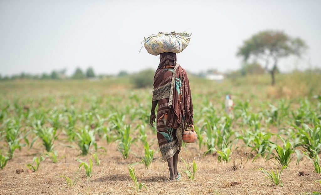 Sahel
