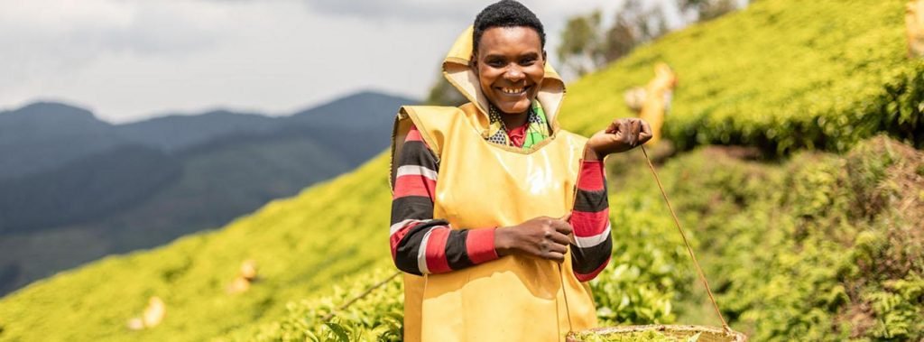 International Tea Day