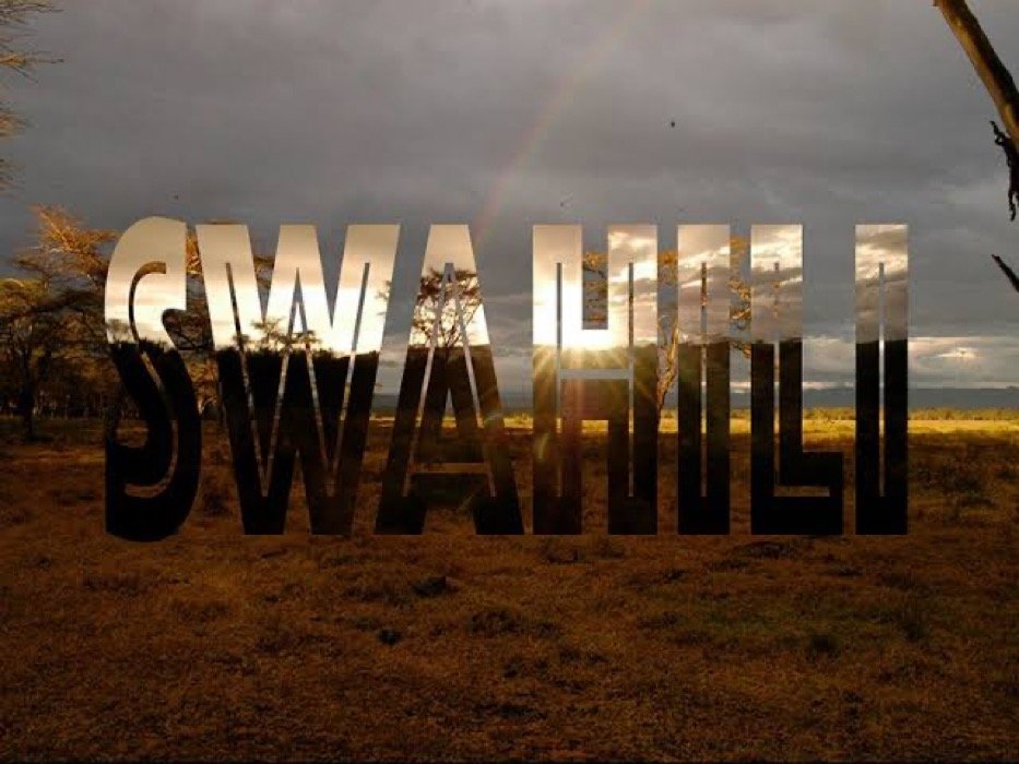 World Kiswahili Language Day 2022 1 Swahili one of Africa's widely spoken languages