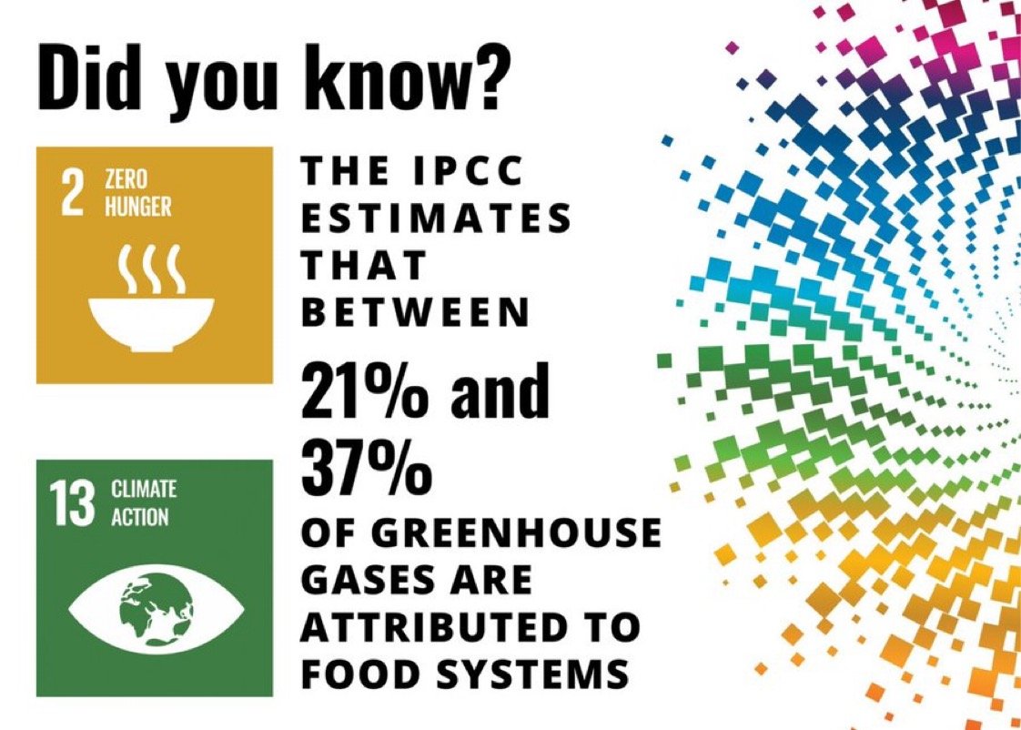 The Climate and SDGs Conference 