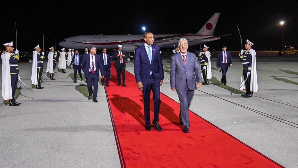 Prime Minister of Somalia visits Tunisia
