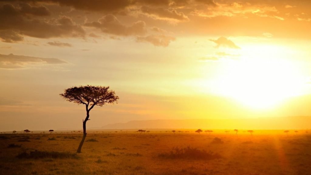 The African Union (AU), African Development Bank (AfDB), International Monetary Fund (IMF), Africa Adaptation Initiative (AAI), and Climate Vulnerable Forum (CVF) are hosting the Africa Adaptation Summit on 5th September.