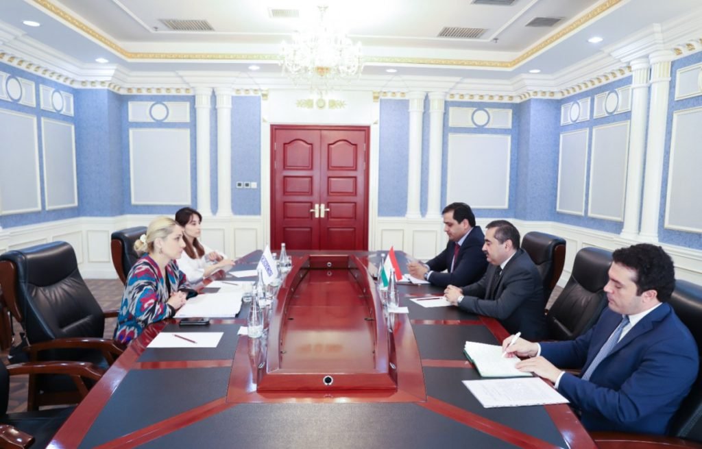 Acting OSCE head meets deputy Foreign Minister of Tajikistan