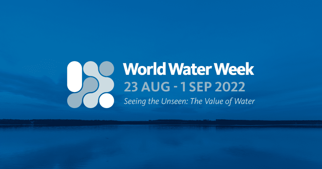World Water Week