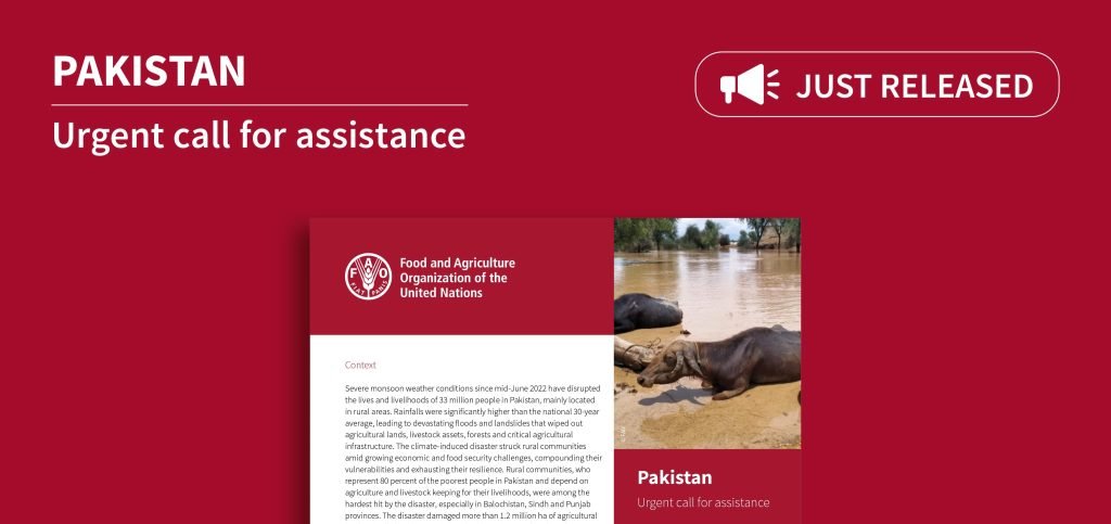 FAO launches urgent call for Pakistan’s assistance