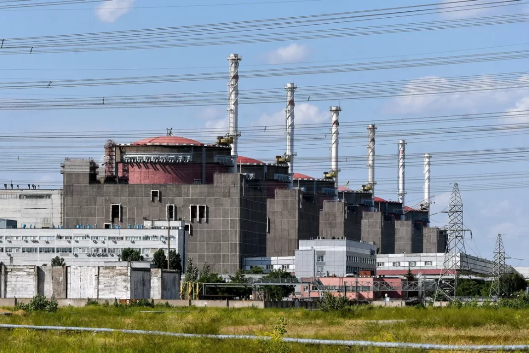 IAEA Director General assures support to ZNPP