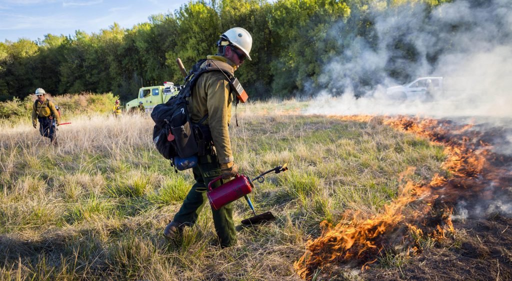 Wildfires in United States