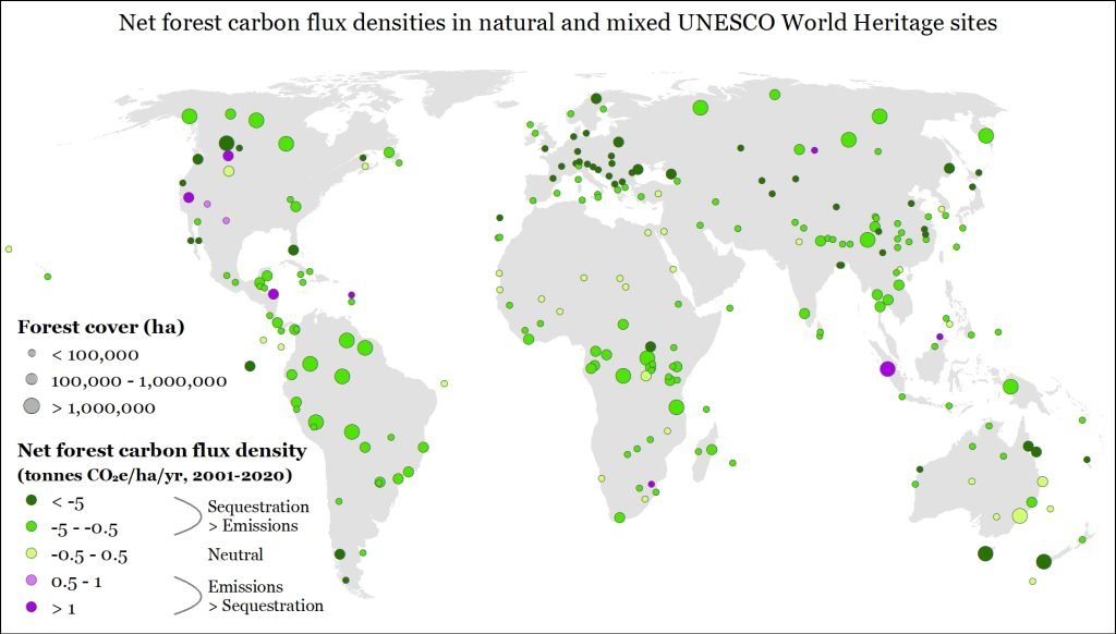 Carbon emission amounts 