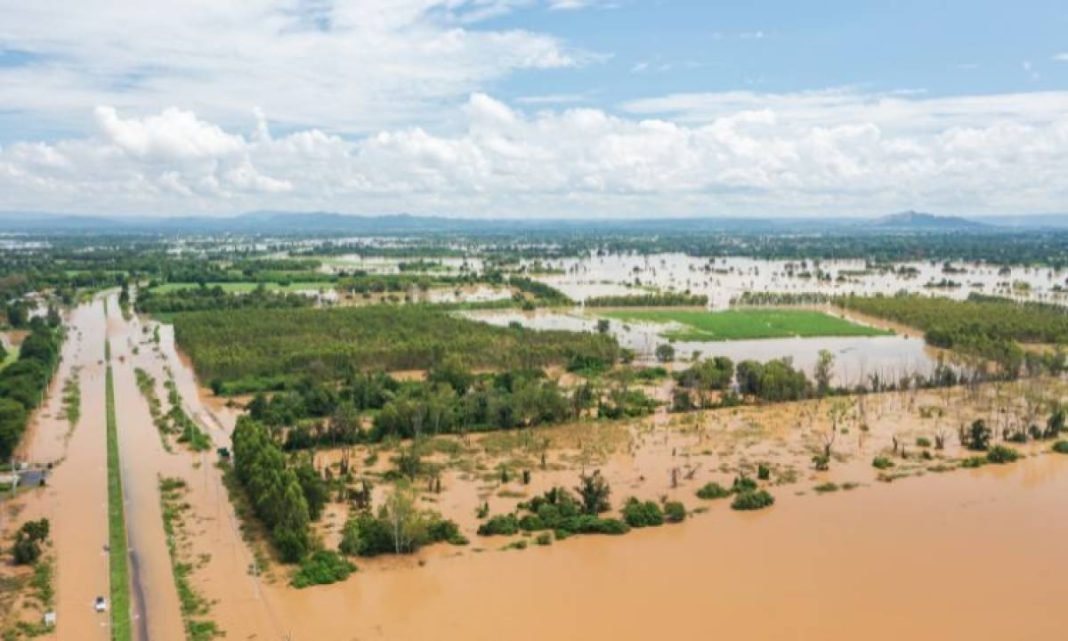 Pakistan Red Crescent Society (PRCS) helps flood affectees