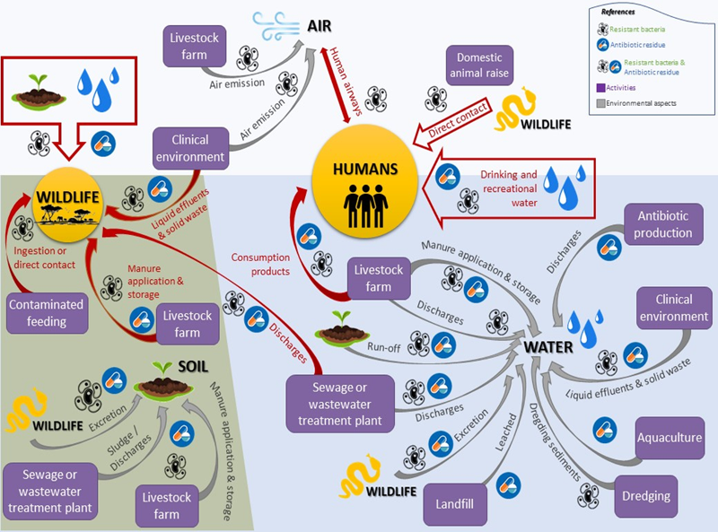 antimicrobial use 