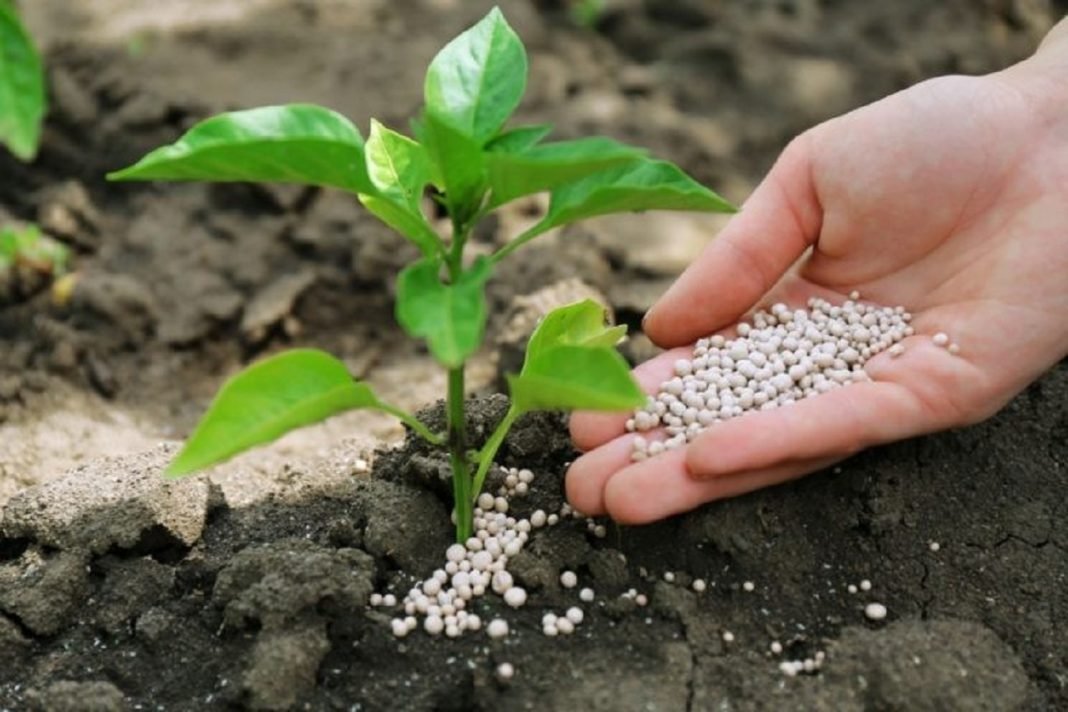 Global Fertilizer Challenge