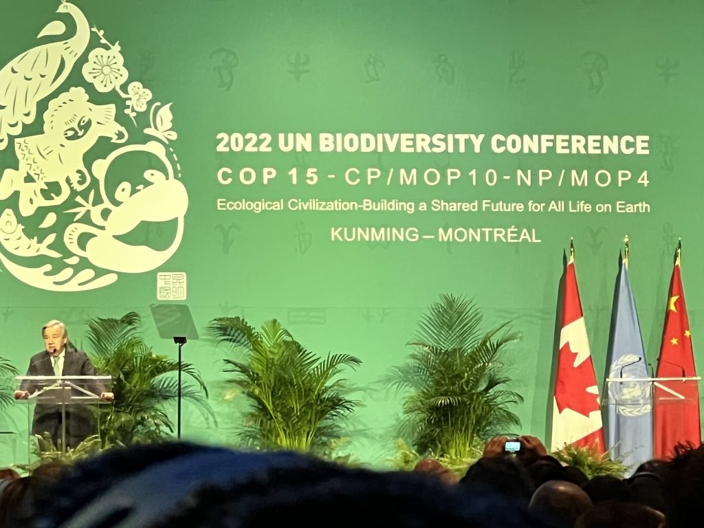 COP15