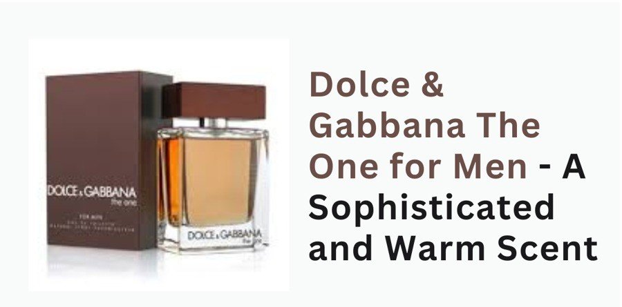 Dolce & Gabbana The One for Men - A Sophisticated and Warm Scent