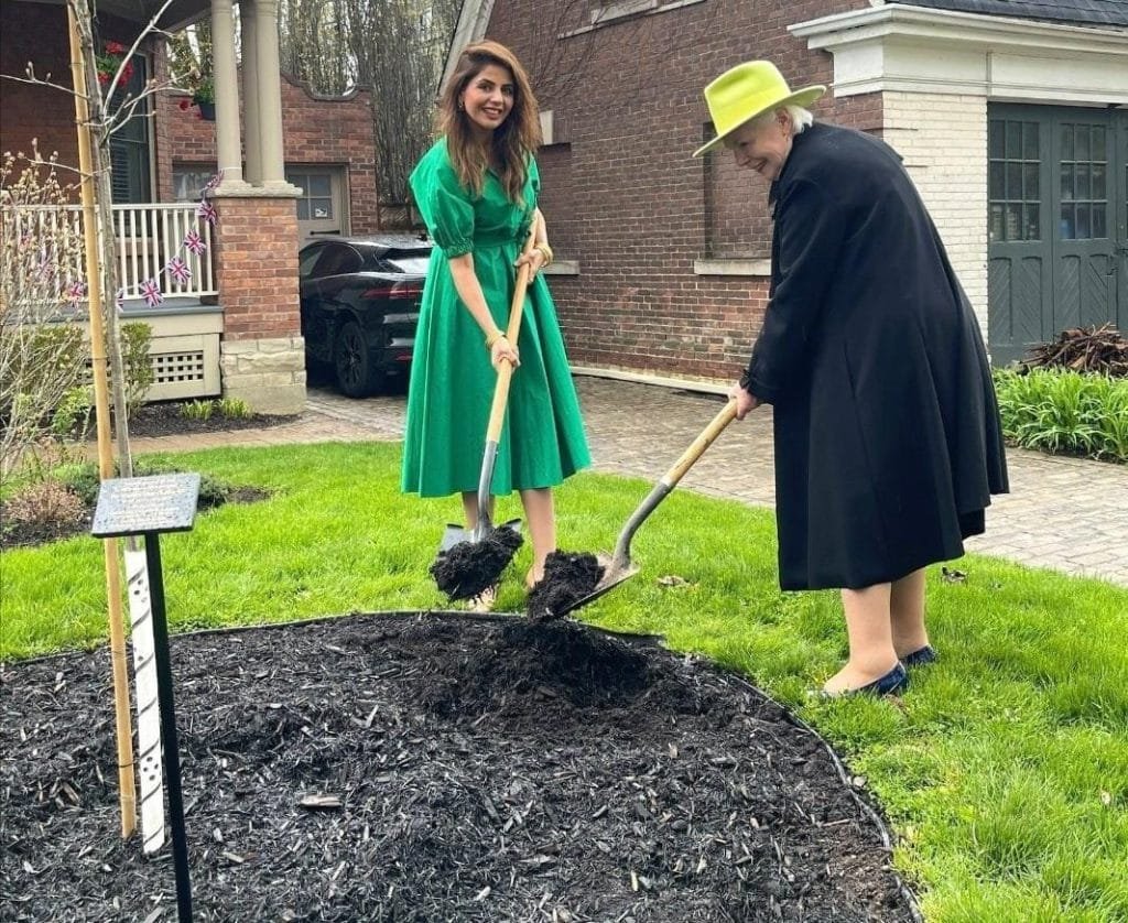 Coronation, Oak tree