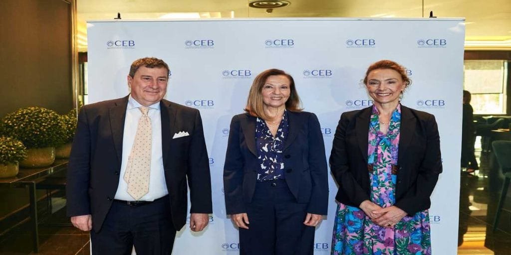 CoE Secretary General in the Joint Meeting of CEB