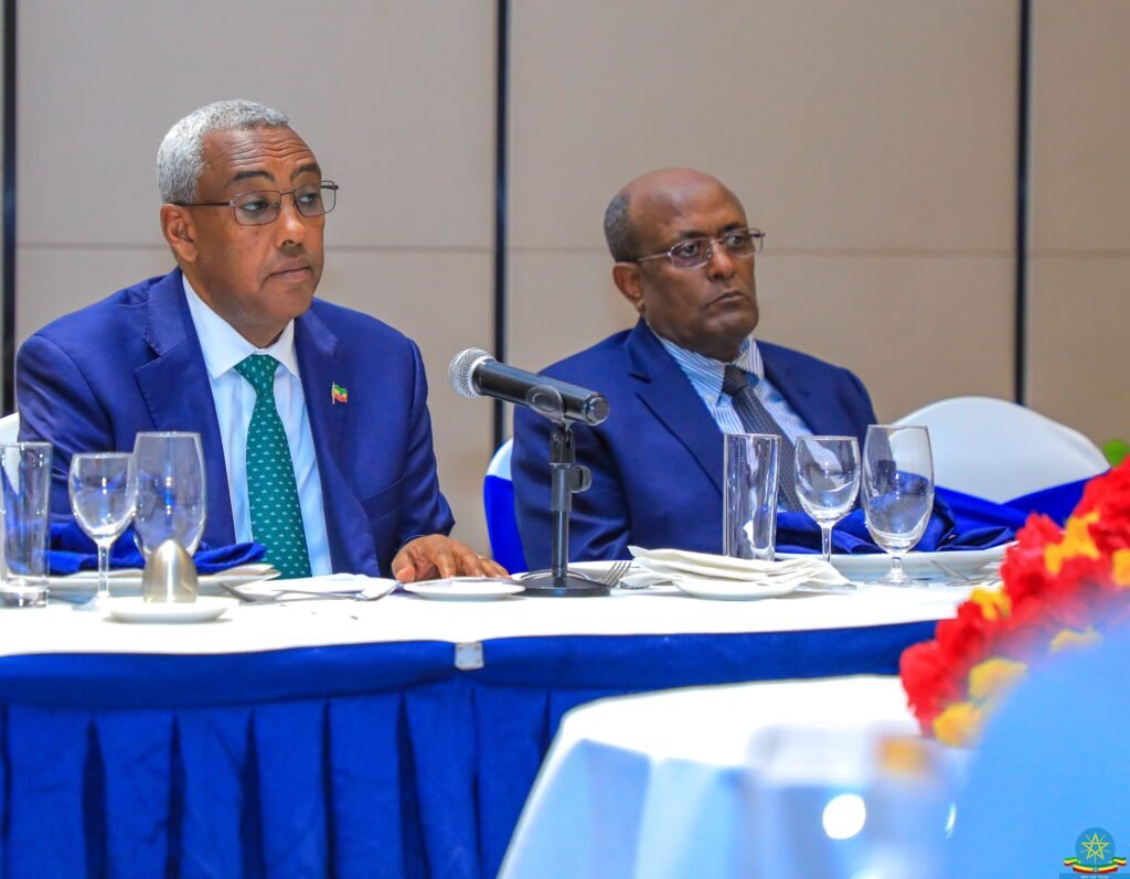 Demeke Mekonnen, the Deputy Prime Minister and former Foreign Minister of Ethiopia