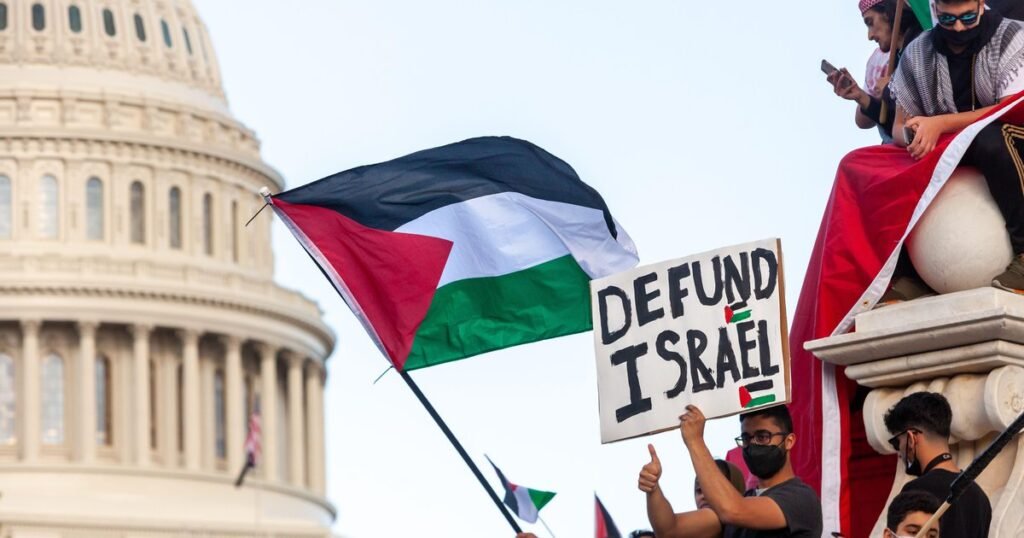 Increasing pro-Palestine and pro-Israel protestors clashes in the US, its causes and consequences