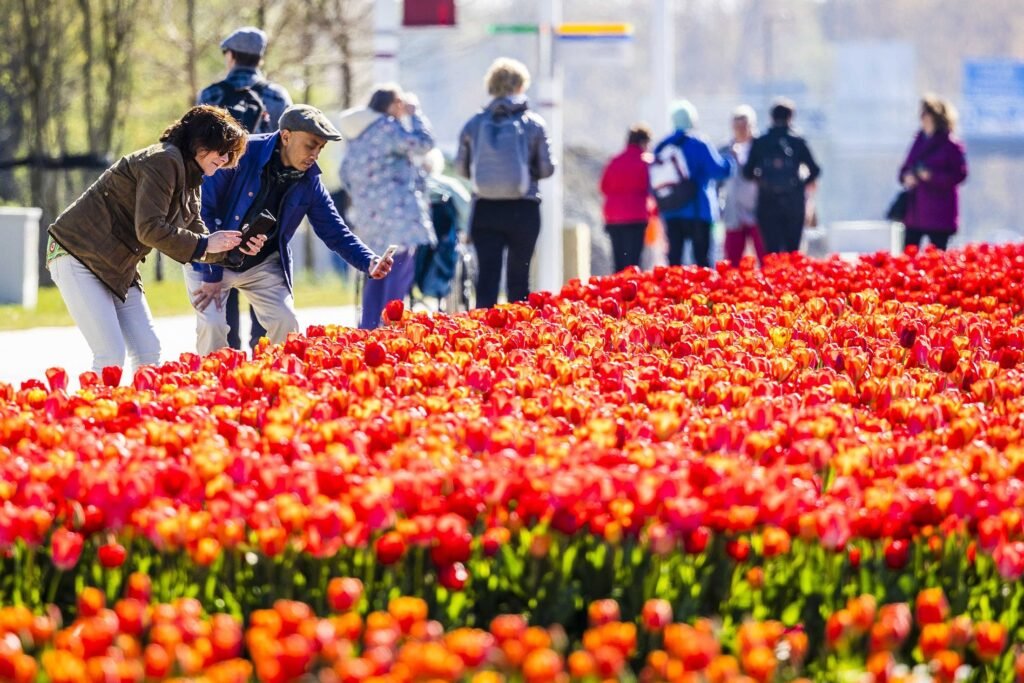 Across Cultures and Continents: How the World Celebrates Spring