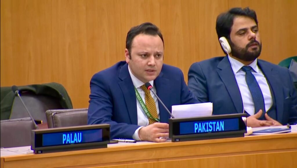 Pakistan Wins Consensus on Appointment of Special Envoy on Combating Islamophobia
