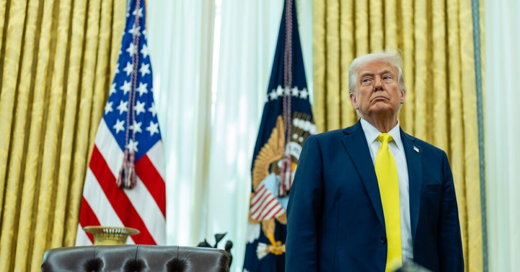 Google, Donald Trump, European Union, company