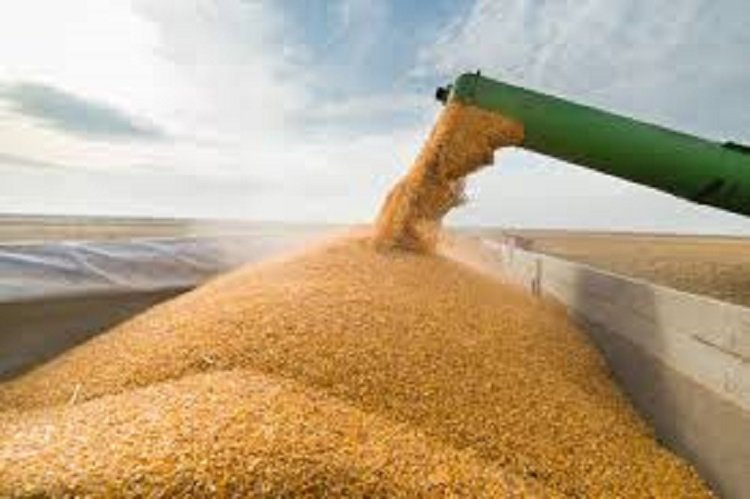 Kazakhstan, exports, Prime Minister, agricultural, Brazil, Indonesia, Malaysia, Pakistan