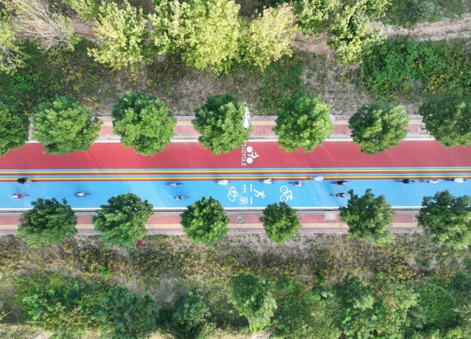 The Silent Yet Noticeable Revolution of Slow-Traffic Systems in China 1 The Silent Yet Noticeable Revolution of Slow-Traffic Systems in China